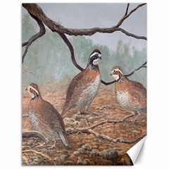 Bob White Quail Canvas 18  x 24  