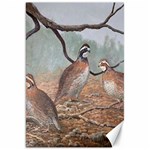 Bob White Quail Canvas 20  x 30   19.62 x28.9  Canvas - 1