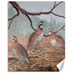 Bob White Quail Canvas 11  x 14  