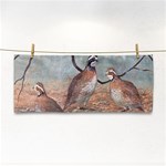 Bob White Quail Cosmetic Storage Cases Front