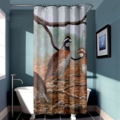 Bob White Quail Shower Curtain 36  x 72  (Stall) 