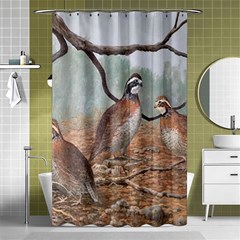 Bob White Quail Shower Curtain 48  x 72  (Small) 