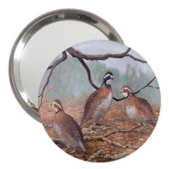 Bob White Quail 3  Handbag Mirrors