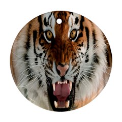 Tiger  Ornament (round) by Nexatart