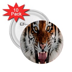 Tiger  2.25  Buttons (10 pack) 