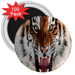 Tiger  3  Magnets (100 pack)