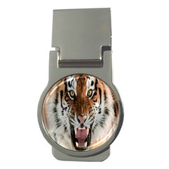 Tiger  Money Clips (Round) 