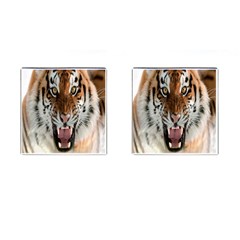 Tiger  Cufflinks (Square)