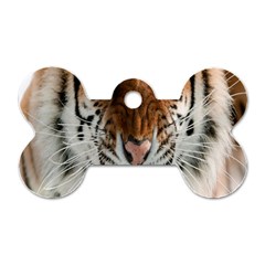 Tiger  Dog Tag Bone (One Side)