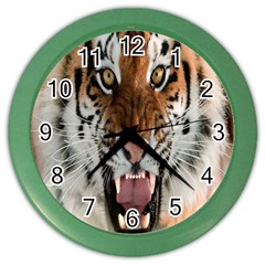 Tiger  Color Wall Clocks