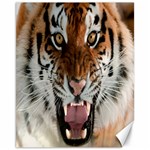 Tiger  Canvas 11  x 14   10.95 x13.48  Canvas - 1