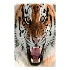 Tiger  Shower Curtain 48  x 72  (Small) 