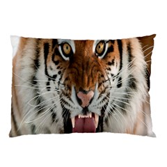 Tiger  Pillow Case (Two Sides)