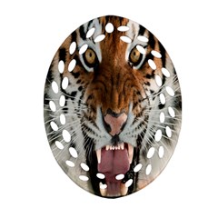 Tiger  Oval Filigree Ornament (Two Sides)