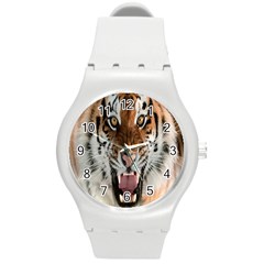 Tiger  Round Plastic Sport Watch (M)