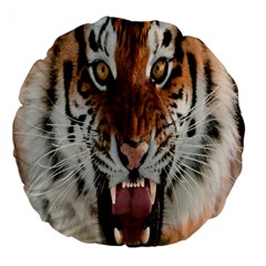 Tiger  Large 18  Premium Round Cushions