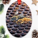 Worker Bees On Honeycomb Ornament (Oval) Front