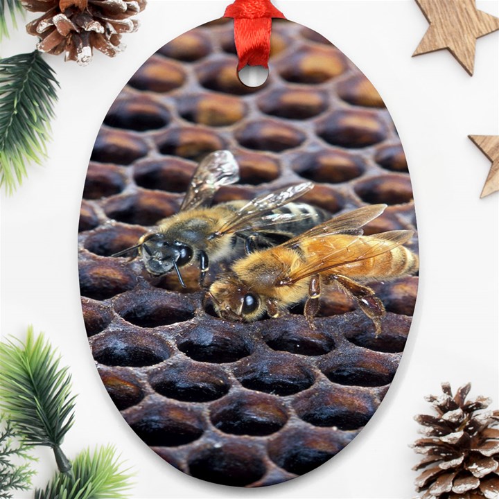 Worker Bees On Honeycomb Ornament (Oval)