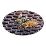 Worker Bees On Honeycomb Oval Magnet Front