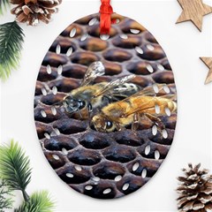 Worker Bees On Honeycomb Oval Filigree Ornament (two Sides) by Nexatart