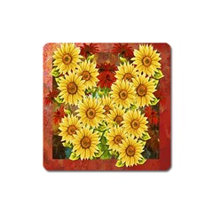 Sunflowers Flowers Abstract Square Magnet by Nexatart