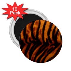 Animal Background Cat Cheetah Coat 2.25  Magnets (10 pack) 