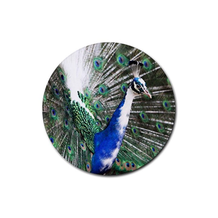 Animal Photography Peacock Bird Rubber Coaster (Round) 