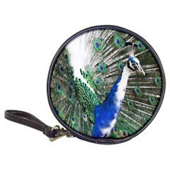 Animal Photography Peacock Bird Classic 20-CD Wallets