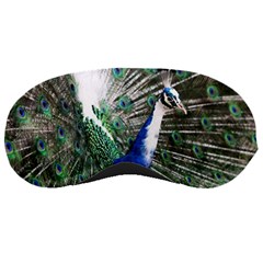 Animal Photography Peacock Bird Sleeping Masks