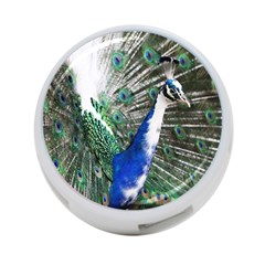 Animal Photography Peacock Bird 4-Port USB Hub (One Side)