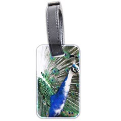 Animal Photography Peacock Bird Luggage Tags (Two Sides)