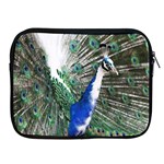 Animal Photography Peacock Bird Apple iPad 2/3/4 Zipper Cases Front