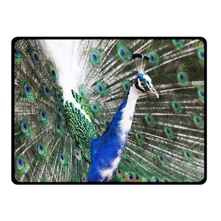 Animal Photography Peacock Bird Double Sided Fleece Blanket (Small) 