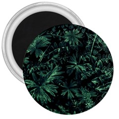 Dark Flora Photo 3  Magnets by dflcprints