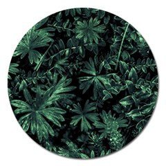 Dark Flora Photo Magnet 5  (round) by dflcprints