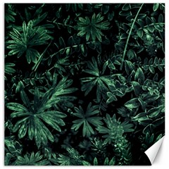 Dark Flora Photo Canvas 12  X 12   by dflcprints