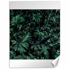 Dark Flora Photo Canvas 36  X 48   by dflcprints