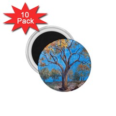 Turkeys 1 75  Magnets (10 Pack)  by digitaldivadesigns