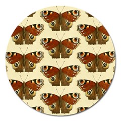 Butterfly Butterflies Insects Magnet 5  (round)