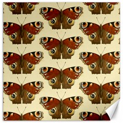 Butterfly Butterflies Insects Canvas 12  X 12   by Amaryn4rt