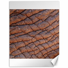 Elephant Skin Canvas 36  X 48   by Amaryn4rt