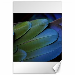 Feather Parrot Colorful Metalic Canvas 24  X 36  by Amaryn4rt