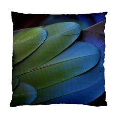 Feather Parrot Colorful Metalic Standard Cushion Case (two Sides) by Amaryn4rt