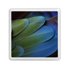 Feather Parrot Colorful Metalic Memory Card Reader (square)  by Amaryn4rt