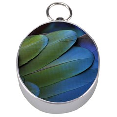 Feather Parrot Colorful Metalic Silver Compasses by Amaryn4rt