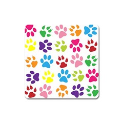 Paw Print Paw Prints Background Square Magnet by Amaryn4rt