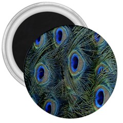 Peacock Feathers Blue Bird Nature 3  Magnets by Amaryn4rt