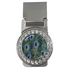 Peacock Feathers Blue Bird Nature Money Clips (cz)  by Amaryn4rt