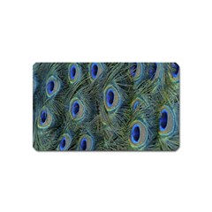 Peacock Feathers Blue Bird Nature Magnet (name Card) by Amaryn4rt