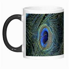 Peacock Feathers Blue Bird Nature Morph Mugs by Amaryn4rt